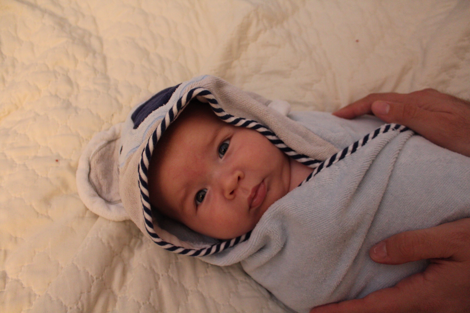 owen in koala towel 2 - 4 months