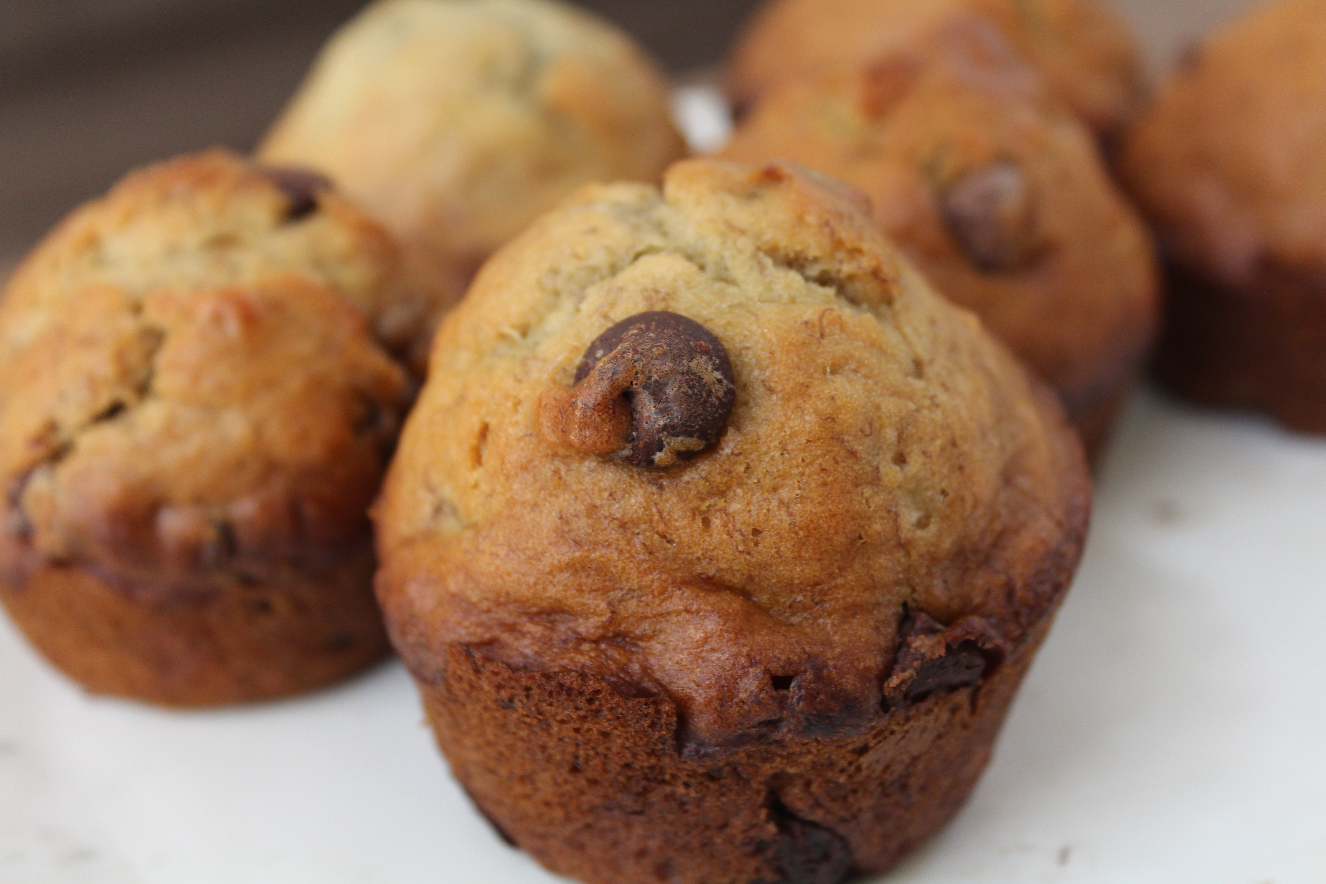 allergy friendly banana chocolate chip muffins