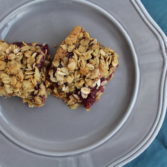 gluten free vegan raspberry oat bars